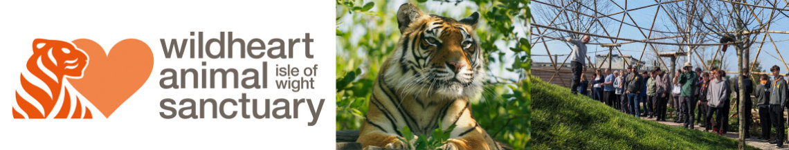 Visit Wildheart Animal Sanctuary With Activity Island Visit Wildheart Animal Sanctuary With Activity Island